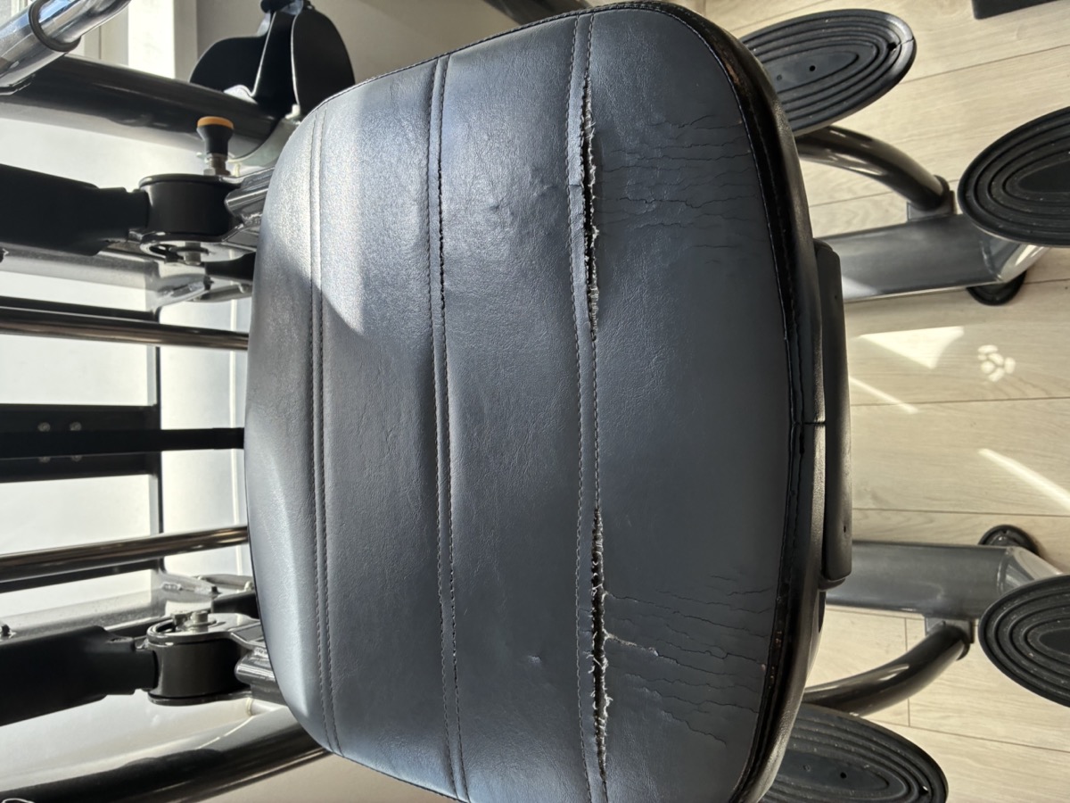 Chin Dip Assist SportsArt – przed wymianą