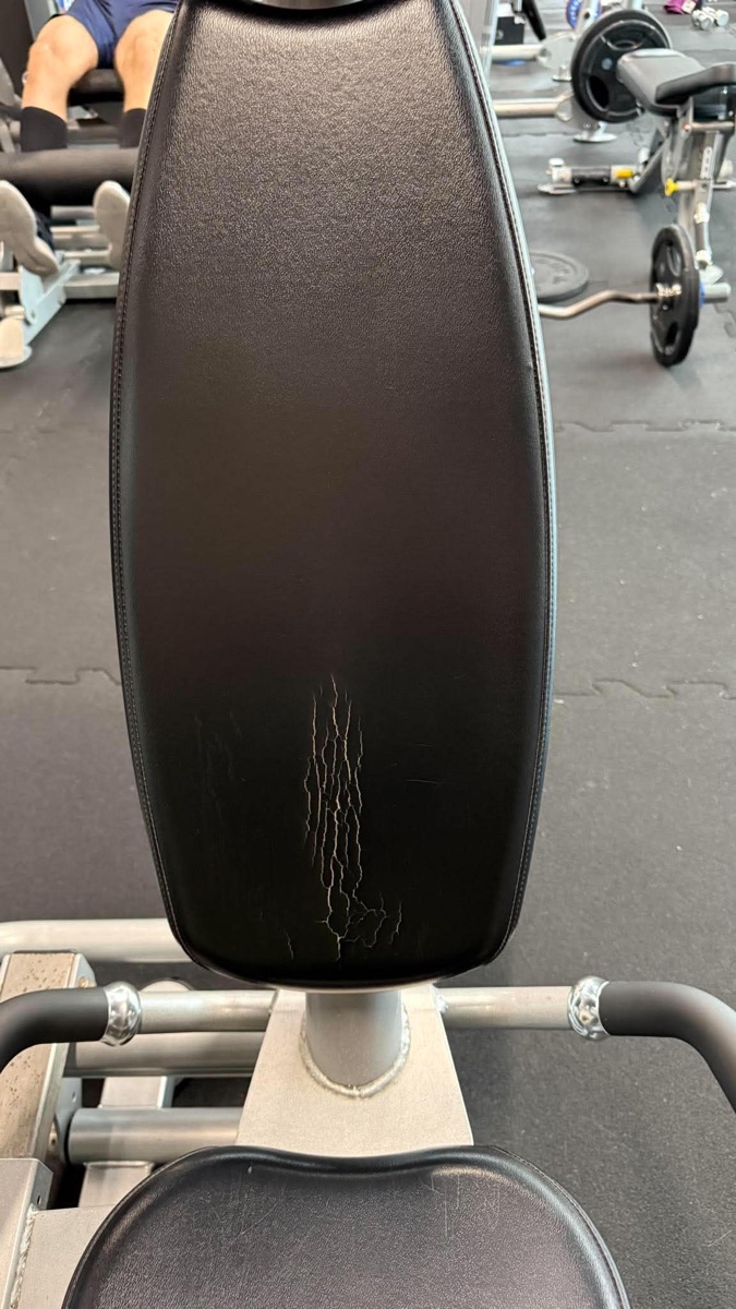 Hoist Leg Press – przed wymianą